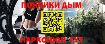 индика Кулебаки