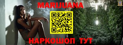 индика Кулебаки