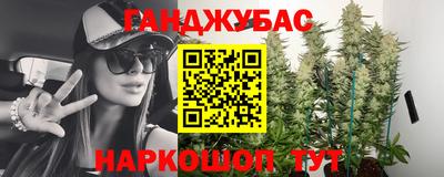 индика Кулебаки