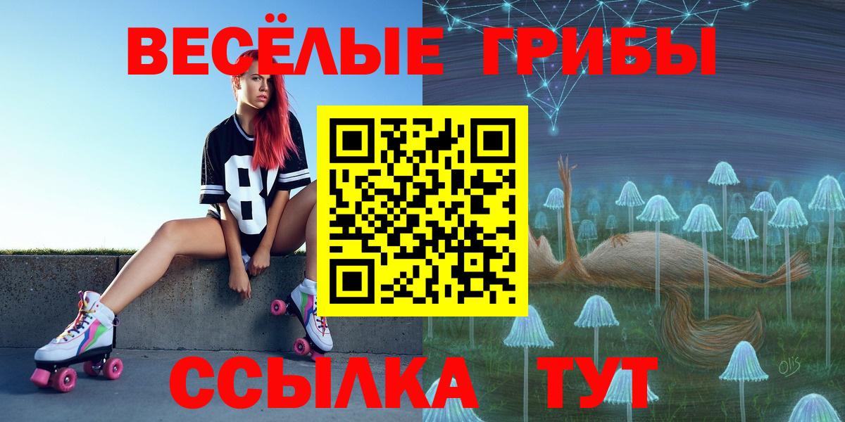 Галлюциногенные грибы Magic Shrooms Дербент